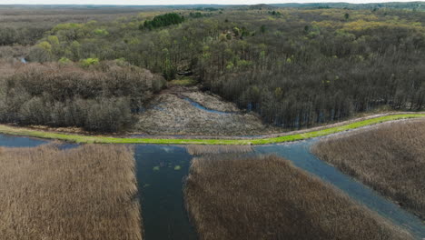 Arroyos-De-Pradera-Y-Bosques-En-El-área-De-Manejo-De-Vida-Silvestre-Del-Estado-De-Bell-Slough,-Arkansas,-Estados-Unidos