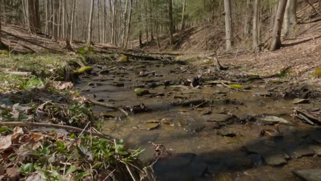 Springen,-Um-Einen-Waldbach-Zu-überqueren,-Ins-Wasser-Planschen