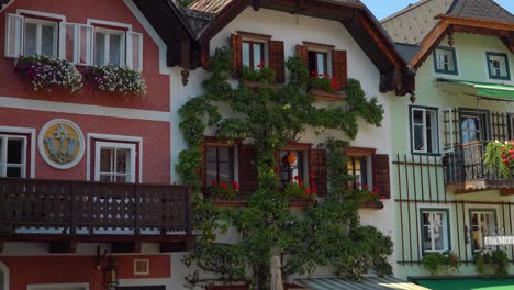 Haga-Zoom-Sobre-El-Peral-Que-Crece-En-Una-De-Las-Casas-De-Hallstatt.