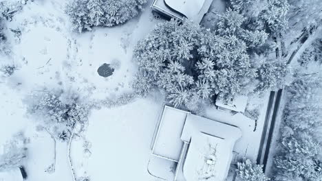 Overhead-view-of-houses-covered-in-snow