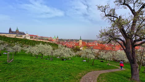 Panoramic-landscape,-Prague-Urban-Green-Park-Czech-Republic-neighborhood-houses-people-walk-in-European-traditional-city-with-red-roofs-church-and-skyline-background