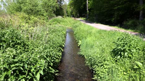 A-small-stream-of-water-flows-through-a-lush-green-area