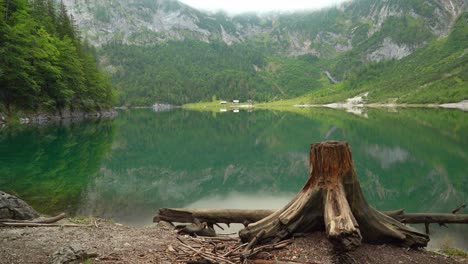 Kleiner-Schuppen-In-Der-Nähe-Des-Sees-In-Der-Region-Gosausee-Mit-Baumstamm-Im-Vordergrund