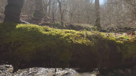 hiker-walking-across-log-over-stream