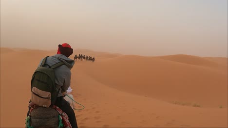 Camel-walking-through-desert-in-tourists-group