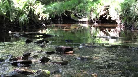 Un-Arroyo-Con-Muchas-Rocas-En-él