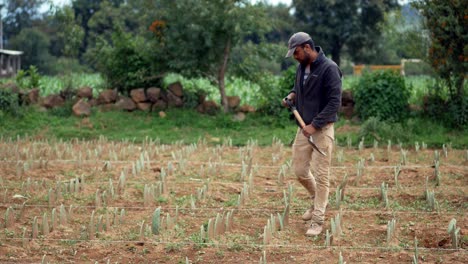 Farmer-Checking-out-his-Cactus-Farm