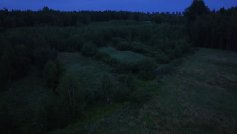 Toma-Panorámica-De-Un-Dron-Rodeando-Un-Alce-Escondido-En-Bosques-Sombríos-Del-Sur-De-Finlandia.