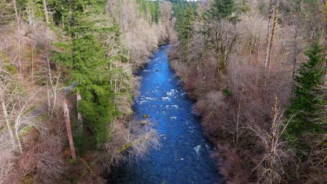 Stationary-shot-of-flowing-Cedar-River-and-forest-in-Washington-State