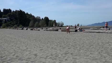 Bikinimädchen-Spielt-Frisbee-Am-Strand