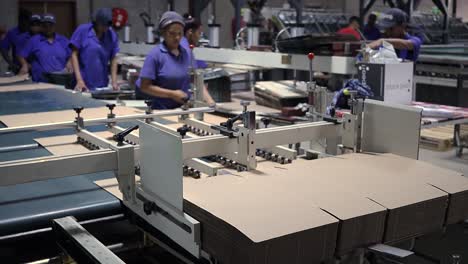 Glue-machine-feeding-cardboard-down-a-conveyor-belt-on-a-South-African-production-line