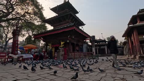 Szene-Am-Frühen-Morgen-Im-Indrayani-Devi-Tempel-Mit-Pagode