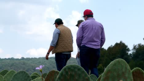 Agricultor-Discute-El-Estado-De-Las-Plantaciones-De-Cactus-Suculentos.