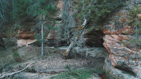 Naturlehrpfad-Cecilu-In-Ieriki,-Lettland