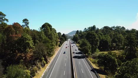 Road-with-woods-forest-and-trees-and-grass,-cars-passing-by-on-a-sunny-day