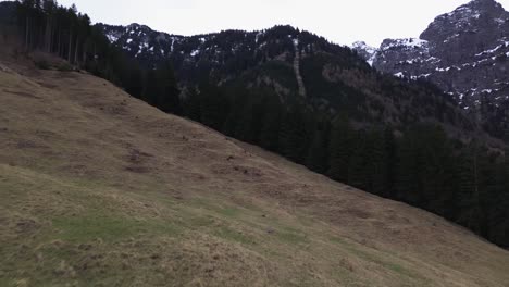 Vista-Aérea-De-Drones-Volando-Sobre-Colinas-Con-Bosques-De-Pinos-Y-Montañas-Al-Fondo-En-Austria