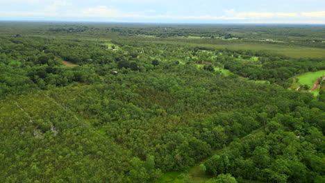 Luftdrohne-über-Einem-Mit-Bäumen-Bedeckten-Grundstück-Im-Ländlichen-Darwin,-Australien
