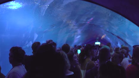 Valencia,-Spanien,-April-2024:-Menschen-Im-Aquarium-Beobachten-Fische