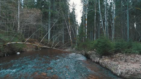 Cecilu-Nature-Trail-in-Ieriki,-Latvia