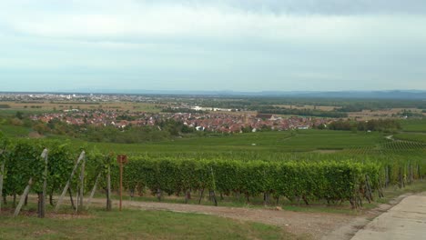 Ciudad-De-Eguisheim-Con-Viñedos-En-Las-Afueras-De-Colmar,-En-El-Este-De-Francia.