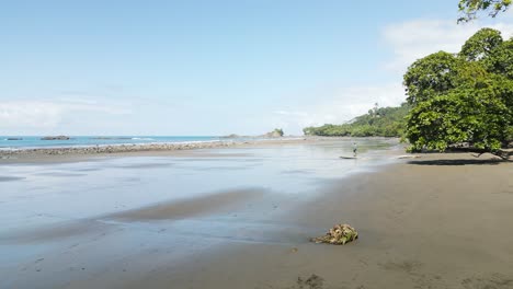 Aerial-drone-footage-of-the-beautiful-beach-in-Costa-Rica-in-Central-America