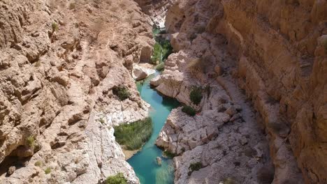 Aérea-Del-Impresionante-Oasis-De-Wadi-Tiwi-Con-Aguas-Turquesas-Y-Cañón-En-El-Sultanato-De-Omán