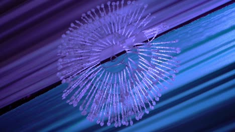 Elegant-blue-purple-crystal-chandelier-decor-for-wedding,-long-strands-from-ceiling
