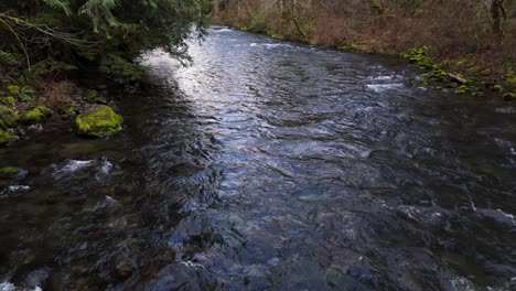 Entspannende-Aussicht-Auf-Den-Fließenden-Cedar-River-Im-Wald-Im-Bundesstaat-Washington