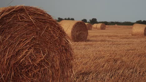 Fardos-De-Heno-En-El-ámbito-Rural-Después-De-La-Cosecha.