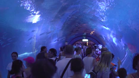 Valencia,-Spain,-April-2024:-People-at-aquarium-tube-watching-fishes