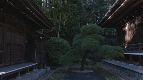 Traveling-of-an-ancient-Zen-Buddhist-temple-in-Tokyo