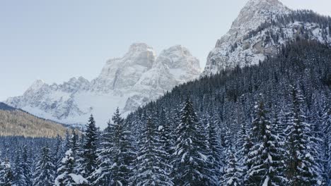 Drohne-Fliegt-Nah-über-Winterwald-Baumkronen-Zu-Pelmo-Berg-Eisigen-Gipfeln-Dolomiten