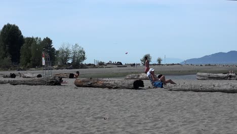 A-muscle-man-pauses-and-watches-a-kite-fly-at-a-beach