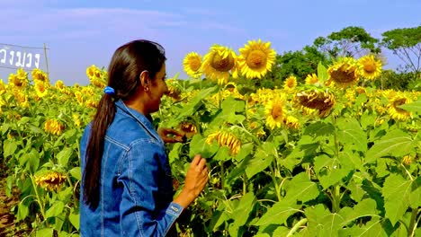 Mädchen-In-Jeansjacke-Inmitten-Eines-Wunderschönen-Sonnenblumenfeldes,-Das-Die-Blumen-Im-Wind-Wehen-Sieht