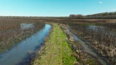 Humedales-En-La-Reserva-Natural-En-El-área-De-Manejo-De-Vida-Silvestre-Del-Estado-De-Bell-Slough,-Arkansas,-Estados-Unidos