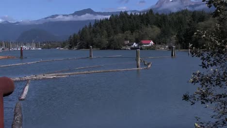 Windy-day,-pleasant-view-on-Squamish-River