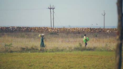 Farming-worker-couple-working-in-a-crop-field-during-a-hot-summer-afternoon-in-Central-India