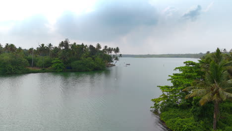 Morning-lakeshores-with-coconut-trees