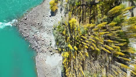 Vista-Aérea-De-Los-árboles-Otoñales-En-El-Valle-De-Skardu-Junto-Al-Río-Indo-Turquesa