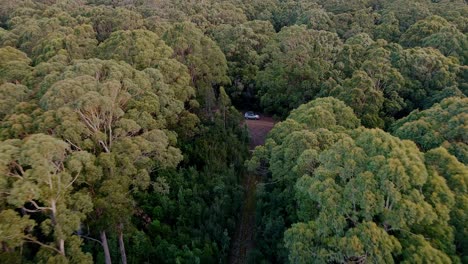 Backward-aerial-view-of-dense-forest-in-Stormlea,-Tasmania-on-a-clear-day