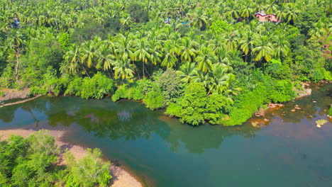 Aerial-view-of-mangrove-forest-surrounded-by-river-Goa-India-Drone
