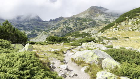 A-pathway-with-junipers-from-the-Retezat-Mountains-Romania,-shrouded-in-clouds