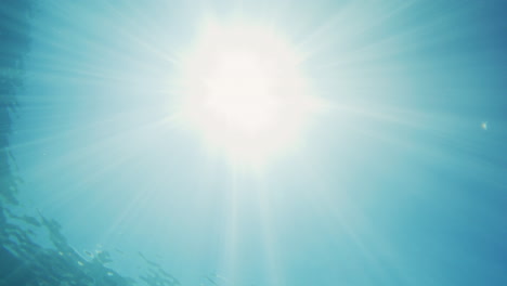 Sunlight-glistens-spreading-magical-rays-of-white-and-light-blue-in-slow-motion