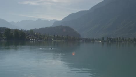 Two-Ducks-Washing-Themselves-In-Perfect-View-of-Scenic-Harbor-|-Rural-European-Mountainside-with-Great-Lake