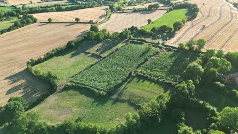 Vorwärts-Lineare-Luftaufnahme-Eines-Bauernhofs-Und-Felder-In-Frankreich