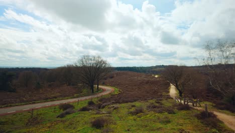 Panorama-Sobre-Veluwe-Brezales-Con-Brezo-Marrón-A-Principios-De-Primavera-Paisaje-De-Países-Bajos
