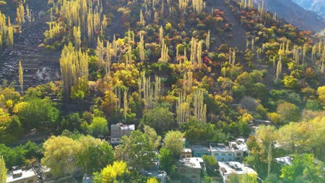 Aerial-View-Of-Autumnal-Trees-In-Skardu-Valley