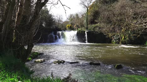 Trittsteine-Und-Wasserfall-Bei-Poulassy-Kilkenny-Irland-Im-Frühling
