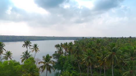 Morning-lakeshores-with-coconut-trees