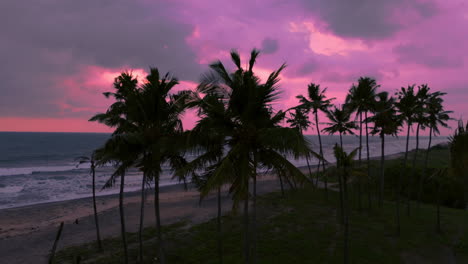 Cloudy-Sunset-in-a-beach-with-coconut-trees